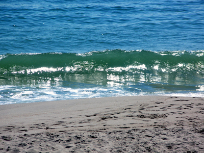 Atlantic Ocean wave about to break onto the beach in Brick, New Jersey