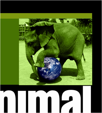 Animal Planet Animal Planet