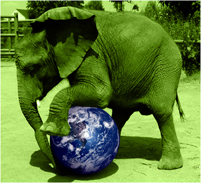 Animal Planet Animal Planet